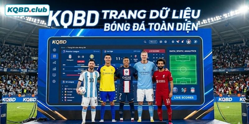 Bỏ túi thông tin giới thiệu về chúng tôi