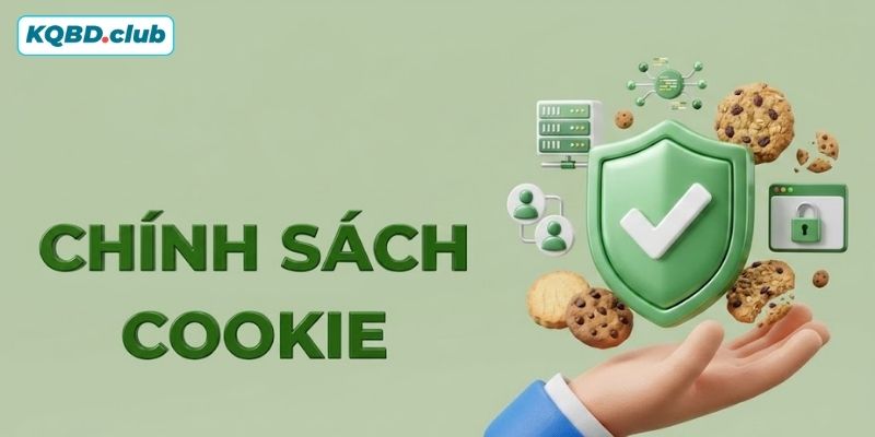 Các loại Cookies vận hành hiện nay