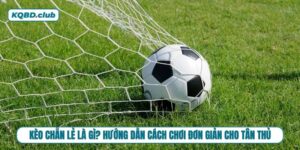 Học ngay cách chơi kèo chẵn lẻ trong phút mốt