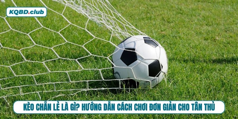 Học ngay cách chơi kèo chẵn lẻ trong phút mốt