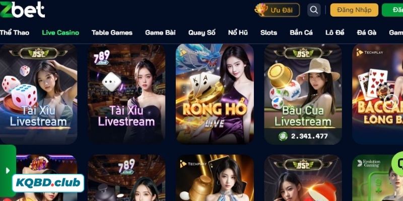 Review phản hồi từ người dùng